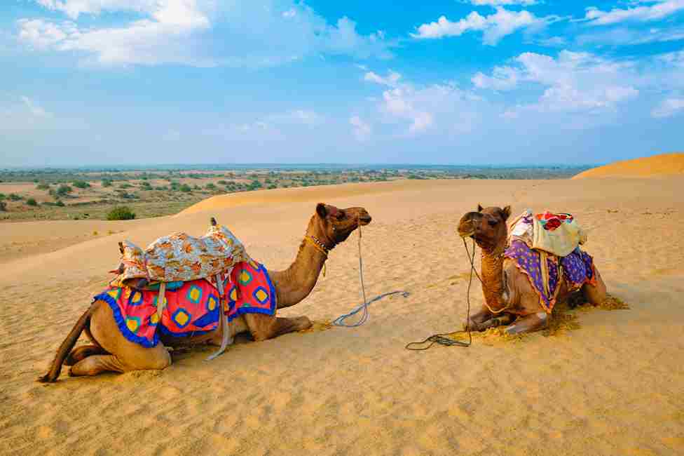 Explore Memorable holiday in Rajasthan